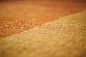 Nylon Versus Polyester Carpet