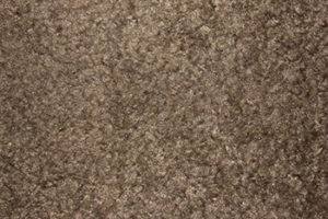 Features Of Nylon Carpeting