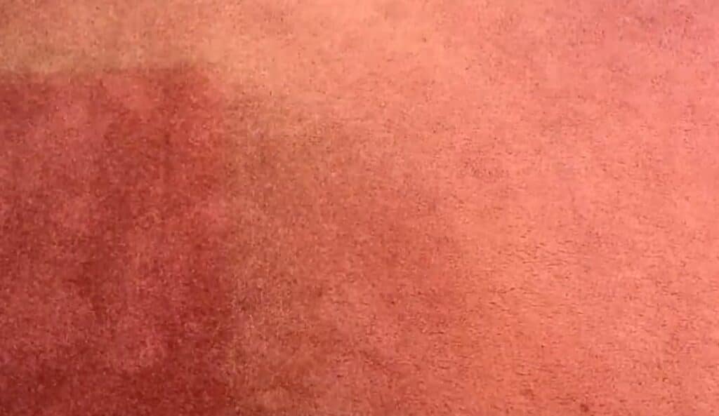 How Long Does Carpet Last? 10 Key Factors To Know Floor Critics