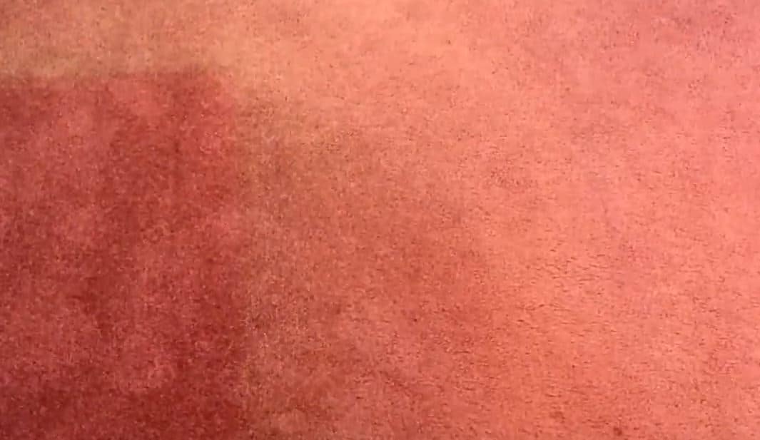 How Long Does Carpet Last? 10 Key Factors To Know Floor Critics