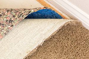 What Is Carpet Padding?