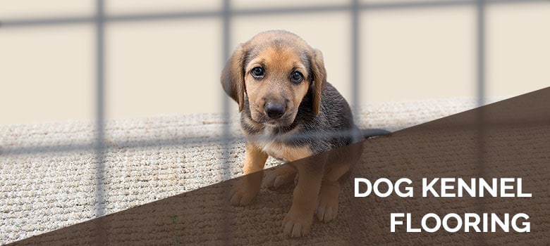 Best Dog Kennel Flooring 5 Top Picks Reviews Best Dog Kennel Flooring 5 Top Picks