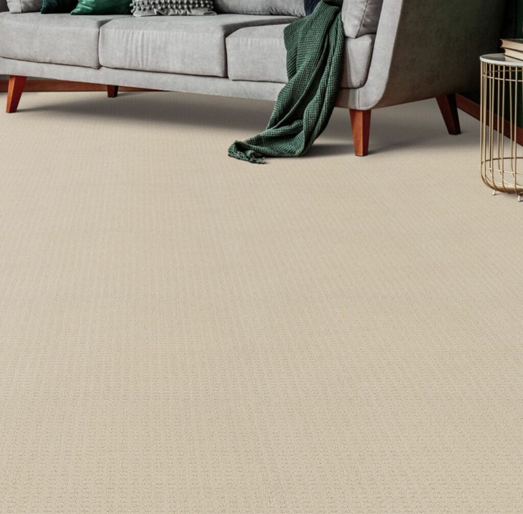 DreamWeaver Picture Perfect carpet