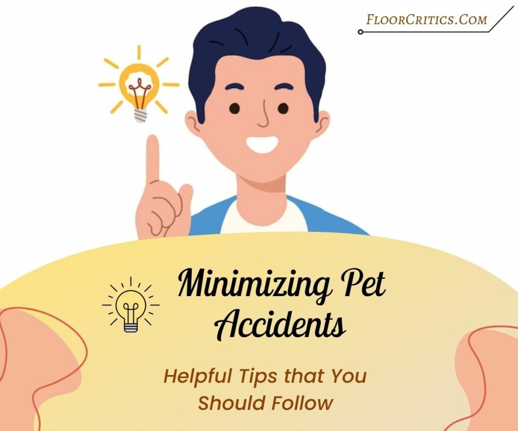 Tips To Minimize Pet Accidents