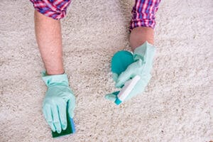 How Do You Get Dog Vomit Stains Out Of Carpet