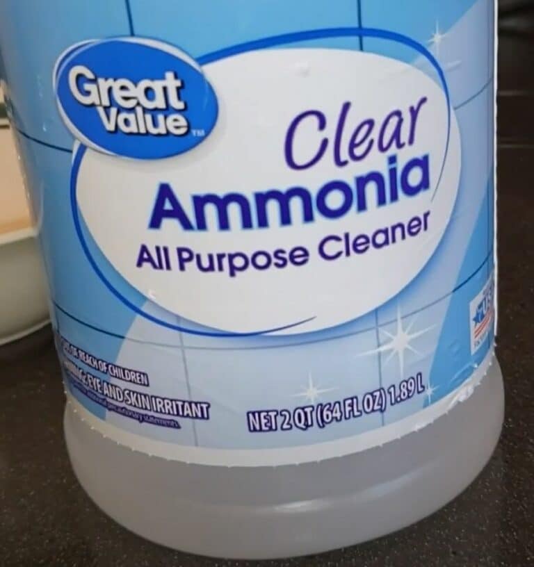 How To Clean Dog Vomit From Carpet A Detailed Guide Floor Critics