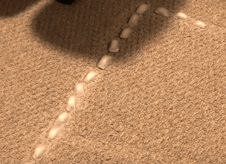 How To Get Wrinkles Out Of Carpet Without a Stretcher Floor Critics