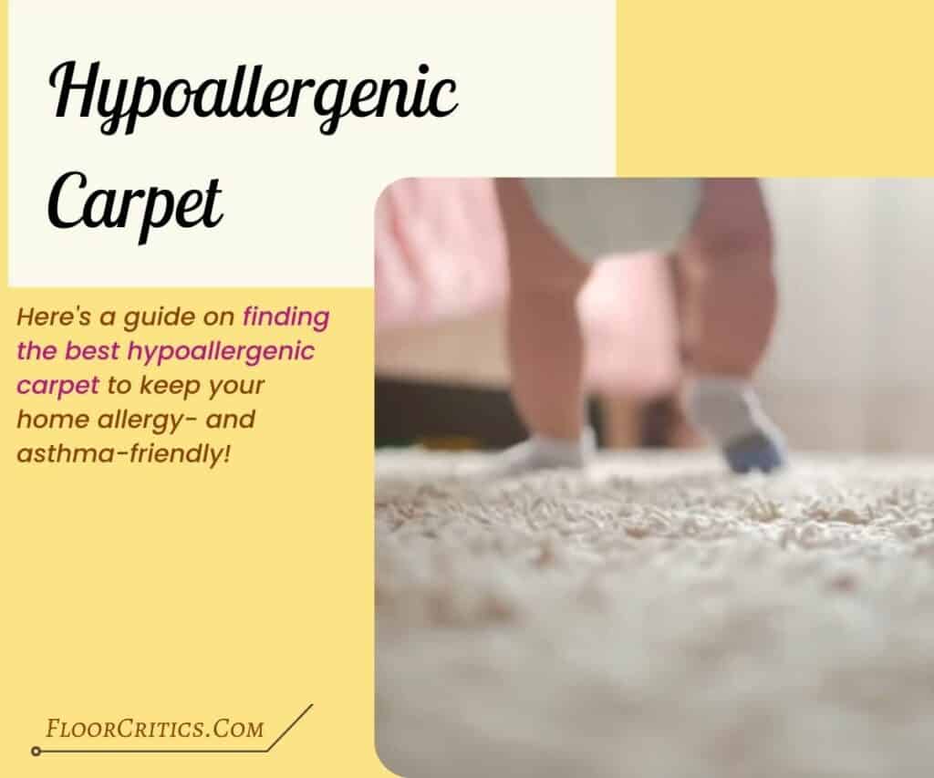 A Guide to Finding the Best Hypoallergenic Carpet