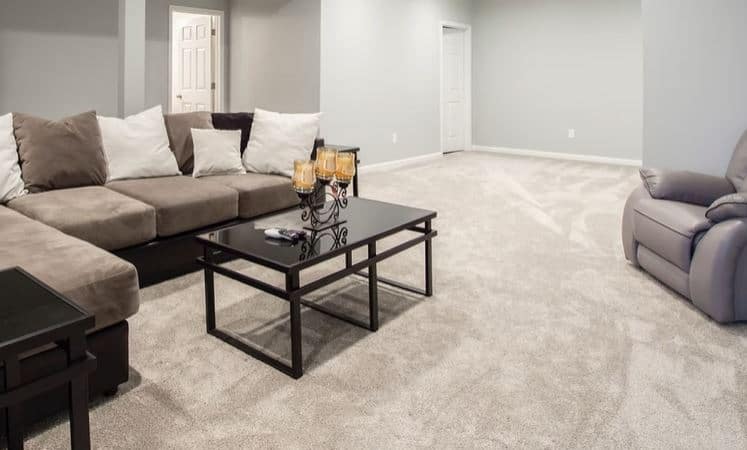 Hypoallergenic nylon carpeting in a living room