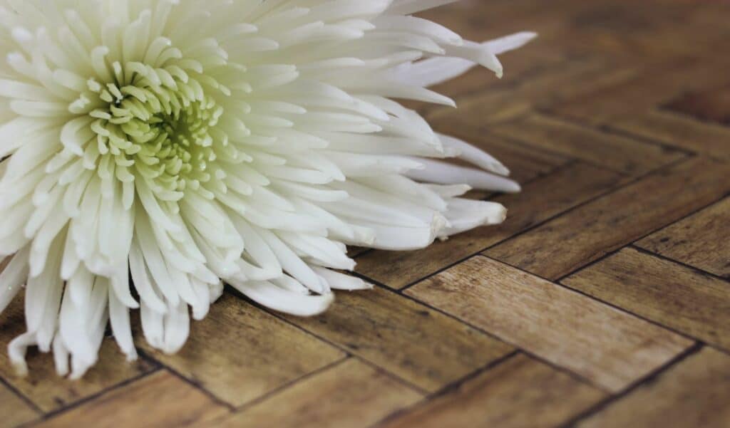 A white flower laid on a wood herringbone floor